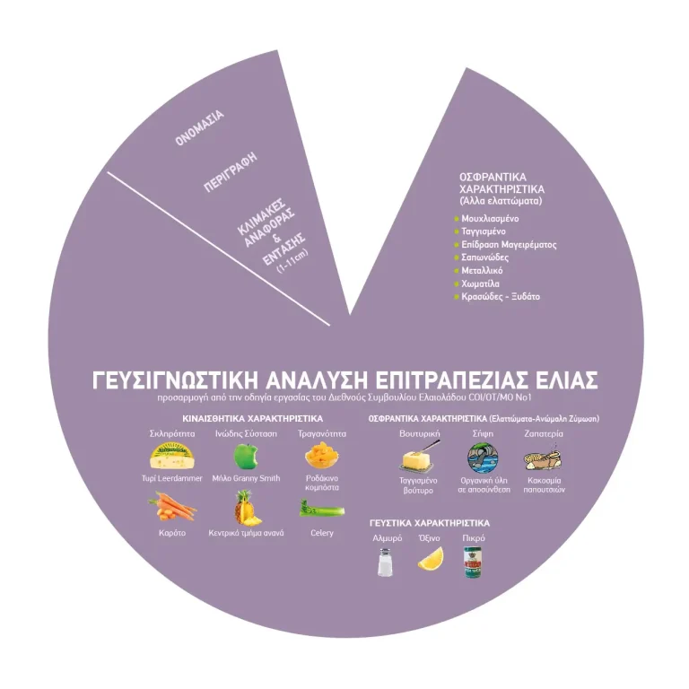 Information Wheel Ελιας