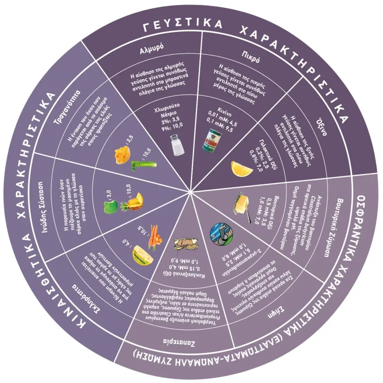 Information Wheel Ελιας