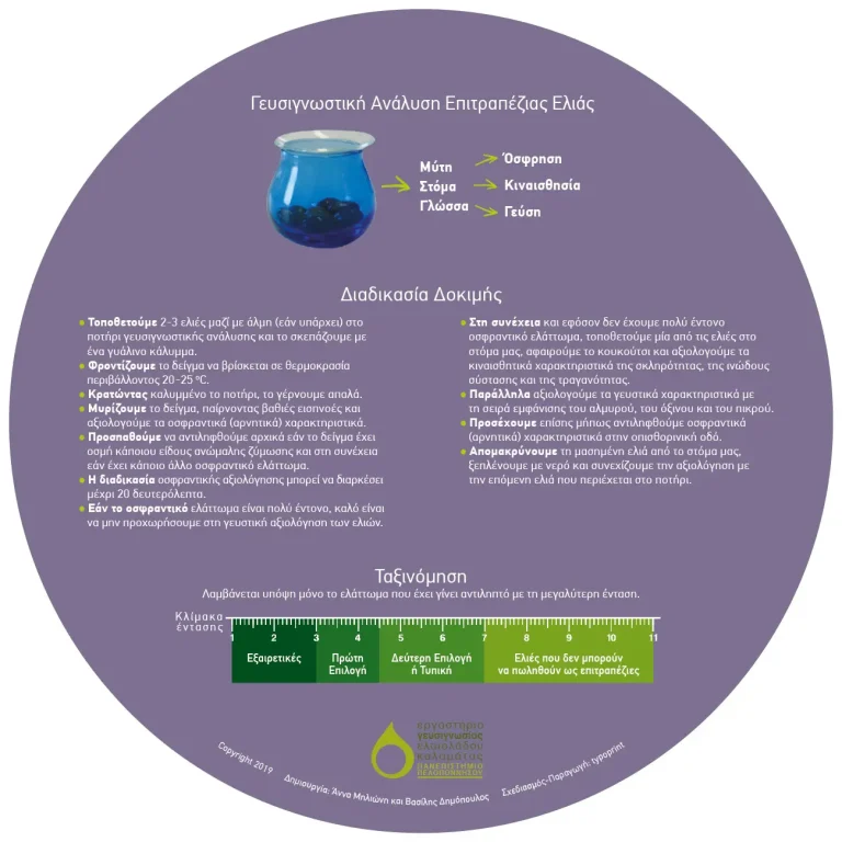 Information Wheel Ελιας